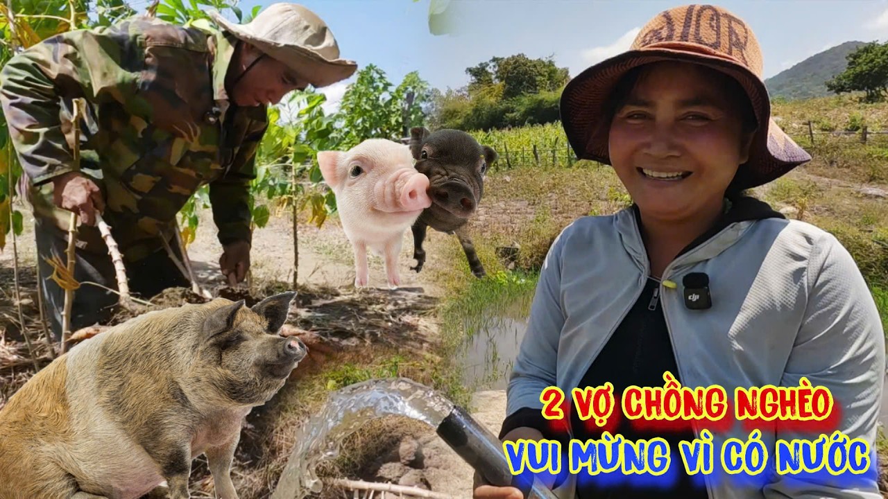 HẠT GIỐNG ân nhân đã cho QUẢ NGỌT niềm vui và HẠNH PHÚC - tập 1667