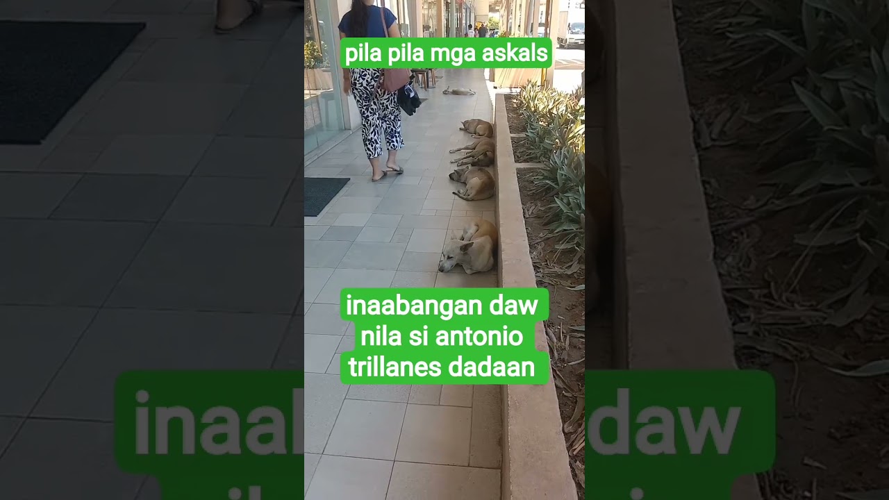 antonio trillanes huwag kana dumaan sa davao may kalalagyan ka #viralvideo