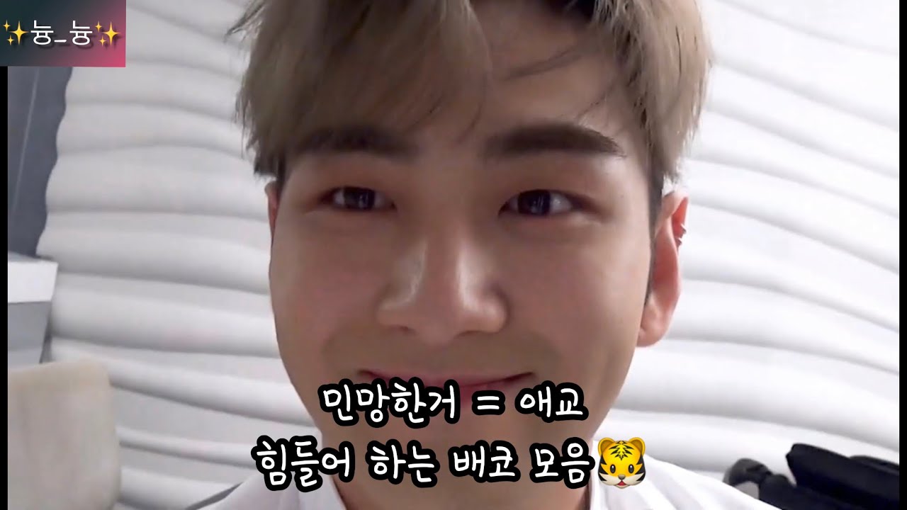 [뉴이스트/백호] 배코는 애교가 힘두도 훙! 훙! ㅠㅠ