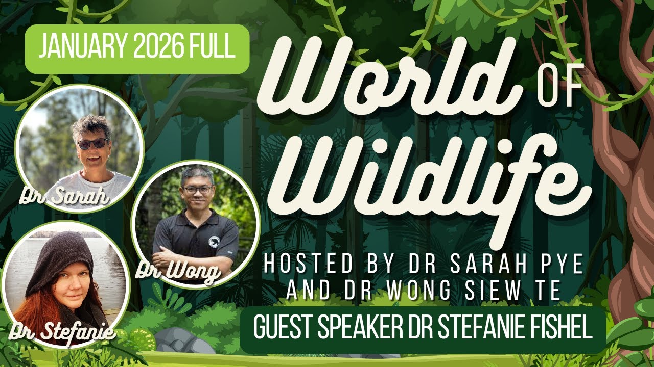 Including Animals in Our Laws? | Full Livestream World of Wildlife | Sarah R Pye