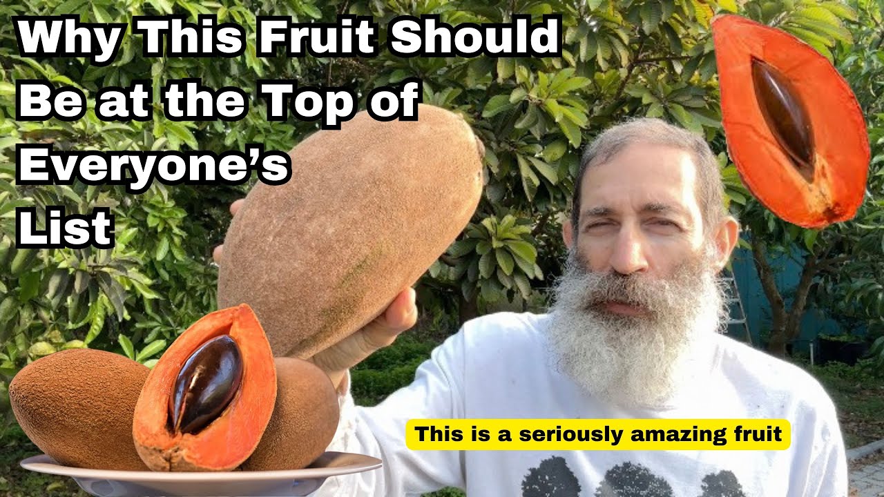 Discover Mamey Sapote: The Tropical Fruit You Need to Try!