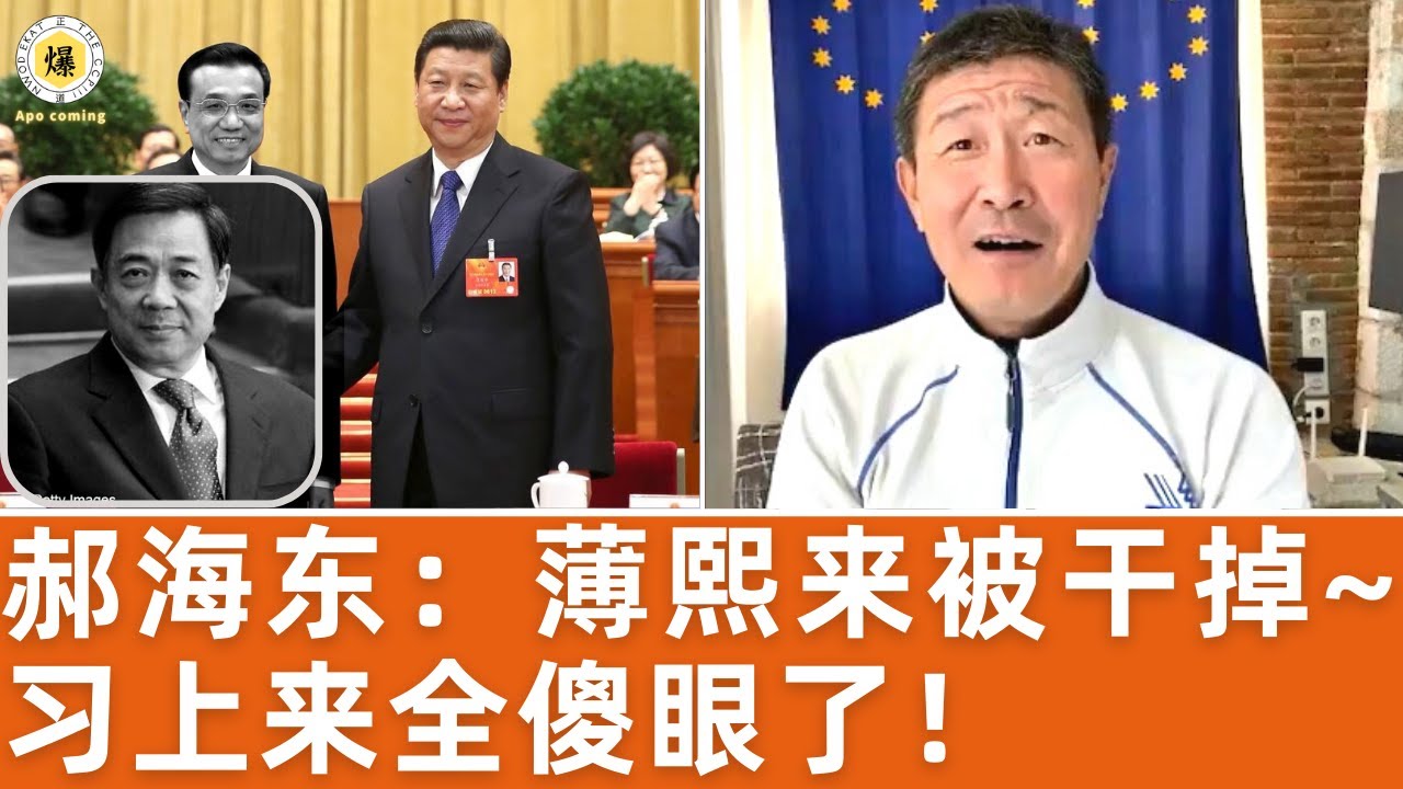 【郝海东】薄熙来
