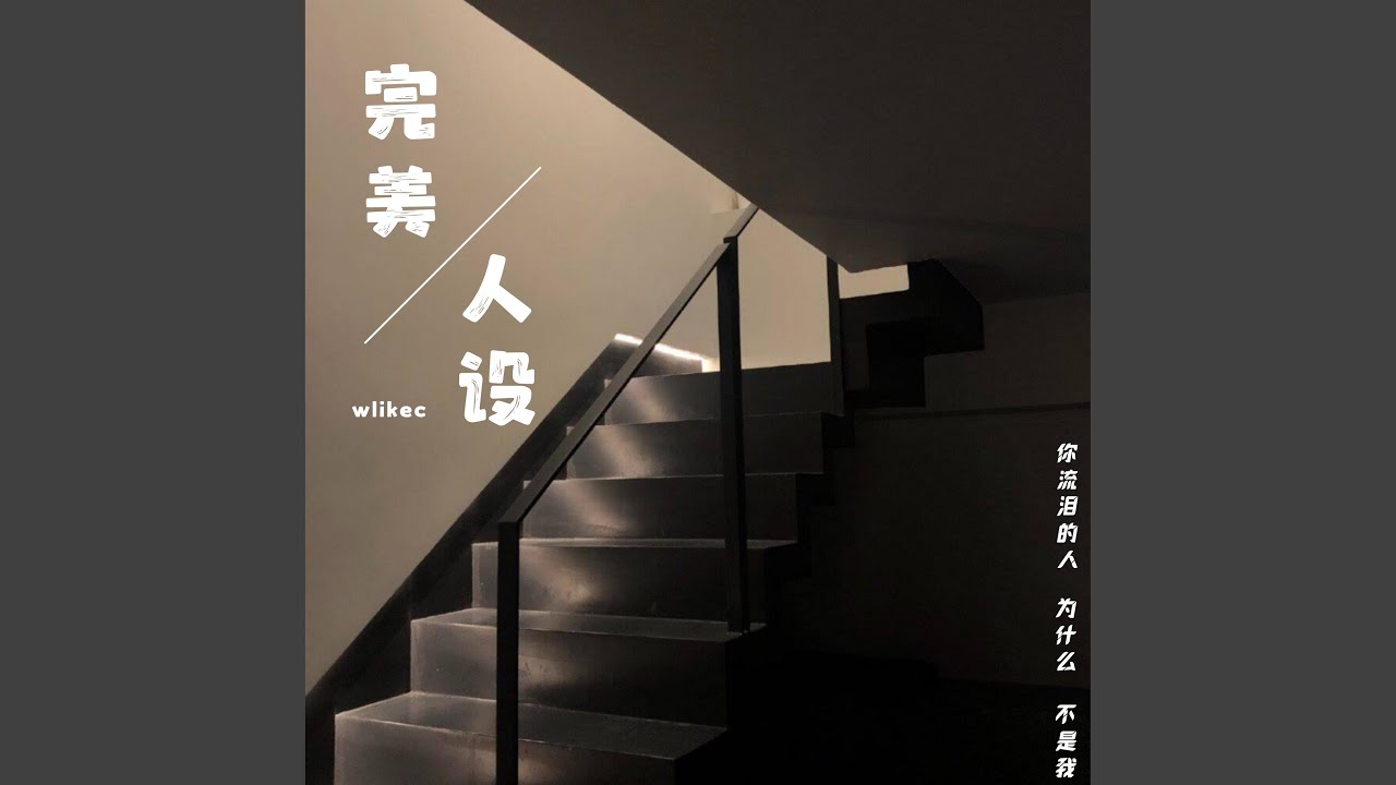 完美人设