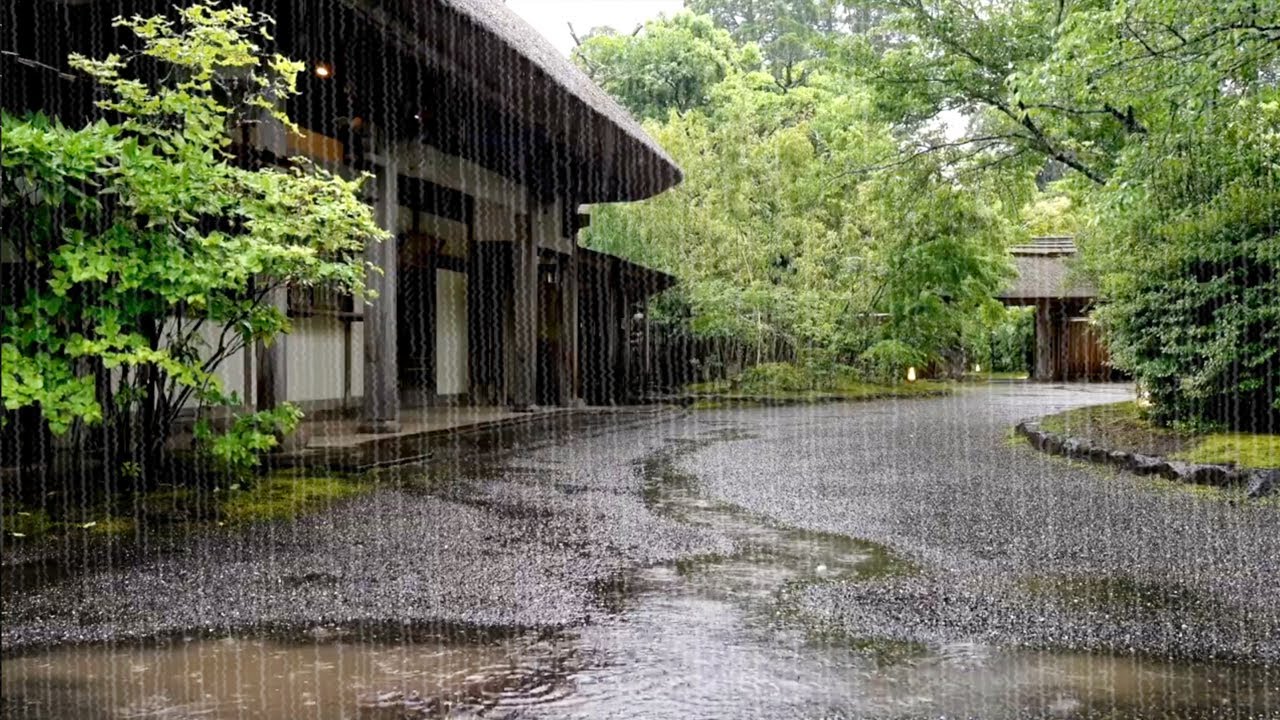 Effective Rain Sounds to Help You Overcome Tinnitus, Insomnia - Healing Compass Rain ASMR