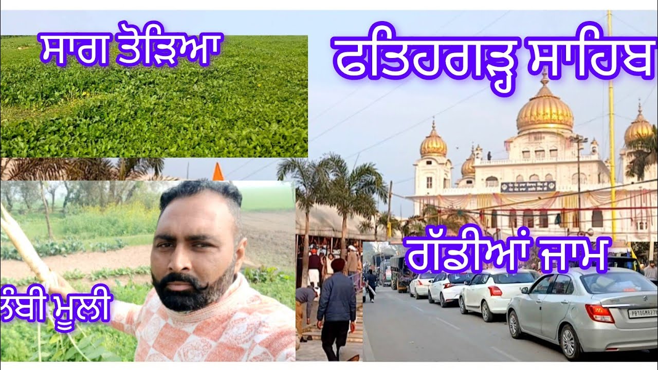 ਅੱਜ ਤੋੜਕੇ ਲਿਆਂਦਾ ਸਰੋ ਦਾ ਸਾਗ😜 ਧੁੰਦ ਬੜੀ ਹੈ ਅੱਜ 😶‍🌫️ਫੇਰ ਗਿਆ ਫਤਿਹਗੜ੍ਹ ਸਾਹਿਬ ਮੱਥਾ ਟੇਕਿਆ ਜਾਮ ਲੱਗ ਗਿਆ 🙏🙏🙏