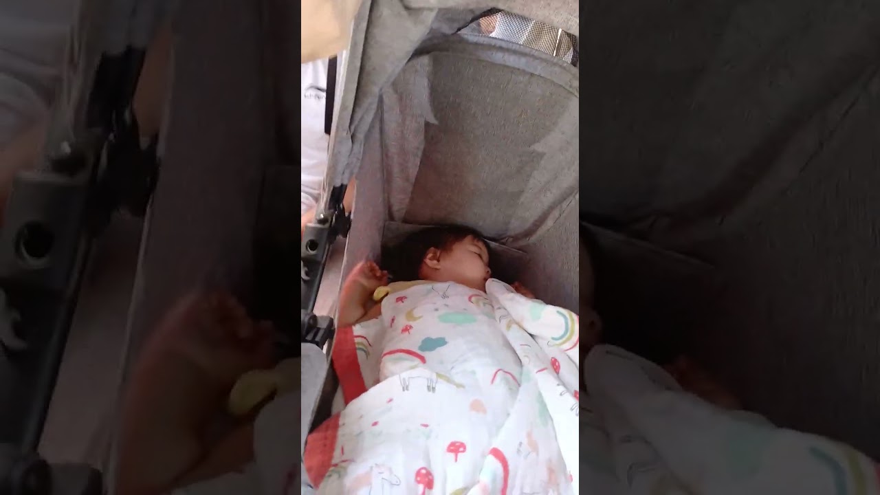 2024ж20августь Сатыга фарельбалыка.