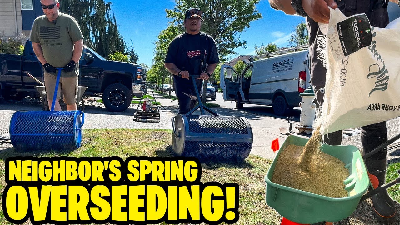 Spring OVERSEEDING NEIGHBOR'S LAWN w/ The BEST SEED on the Market! NOTHING ELSE COMPARES!
