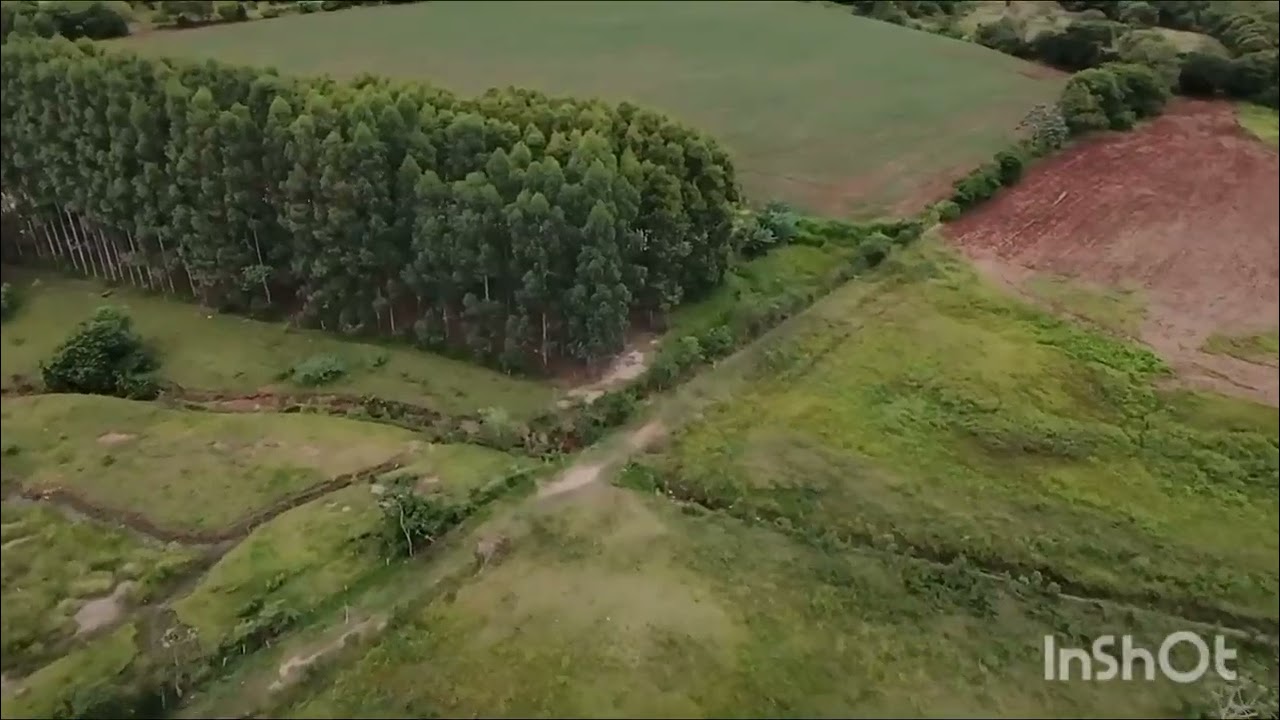 Um voozinho de final de tarde com o drone sobre a Mata 