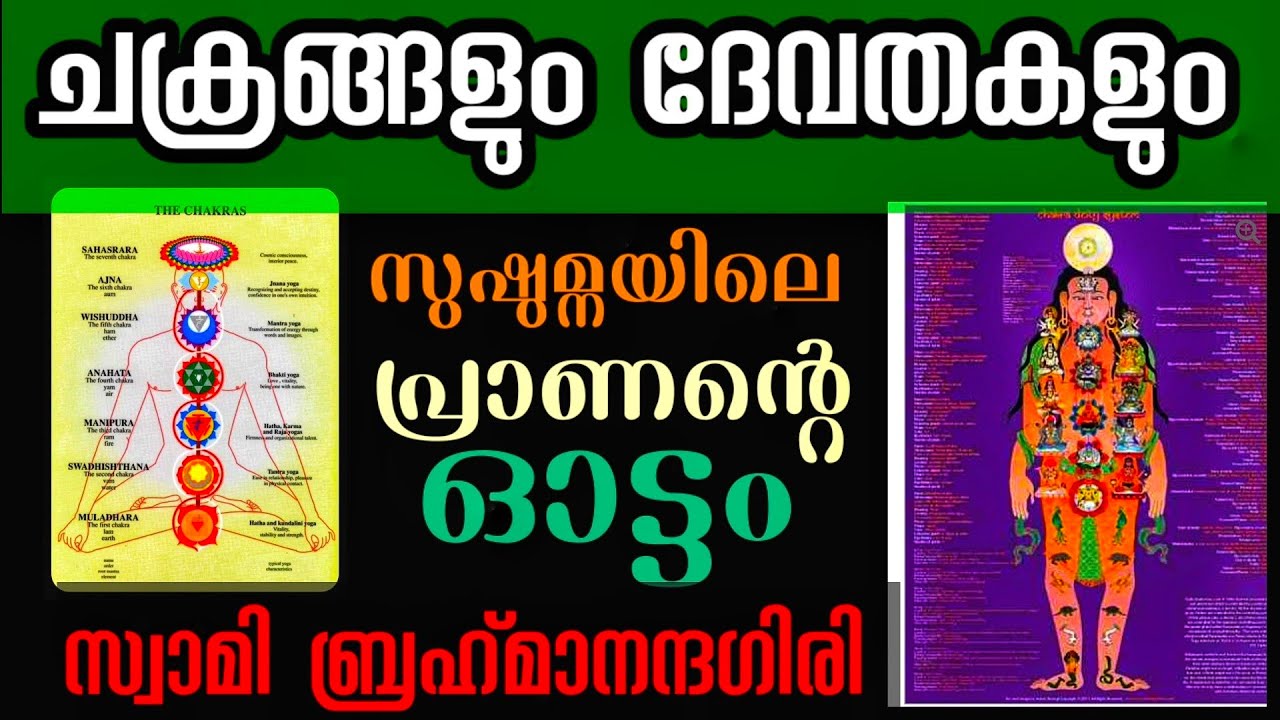 ചക്രങ്ങളും ദേവതകളും l എന്താണ് പ്രാണായാമം? l Swami Brahmananda Giri 4 l മുദ്രകൾ l