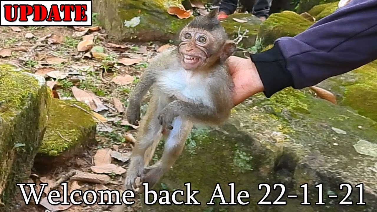 Big congrats 22-11-21 for come back home of baby Ale after finish her treatment at NGO office