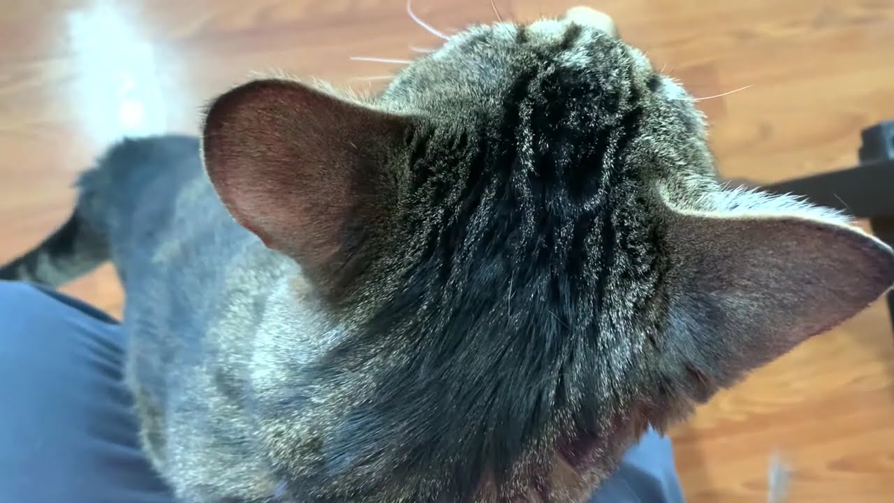 He could not get any louder...!