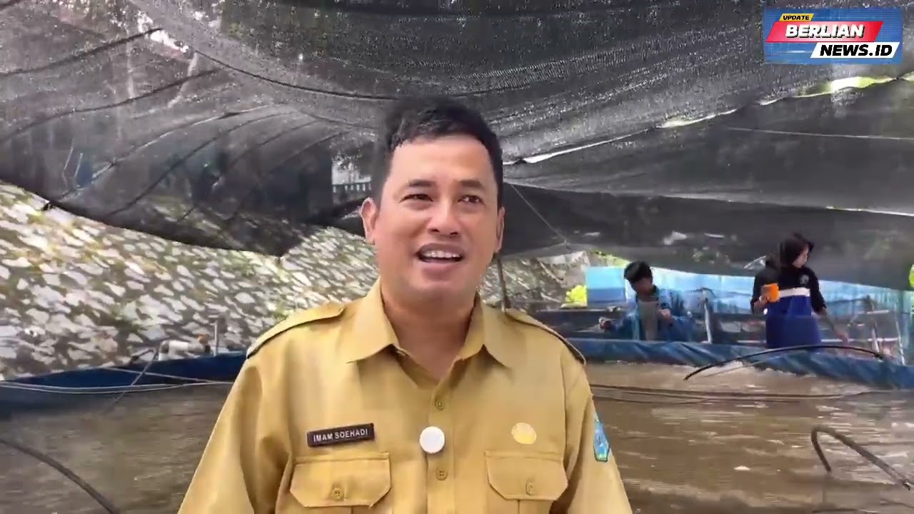 DINAS PERIKANAN BANGKA TENGAH KEMBANGKAN BUDIDAYA UDANG VANAME DENGAN SISTEM IMTA 