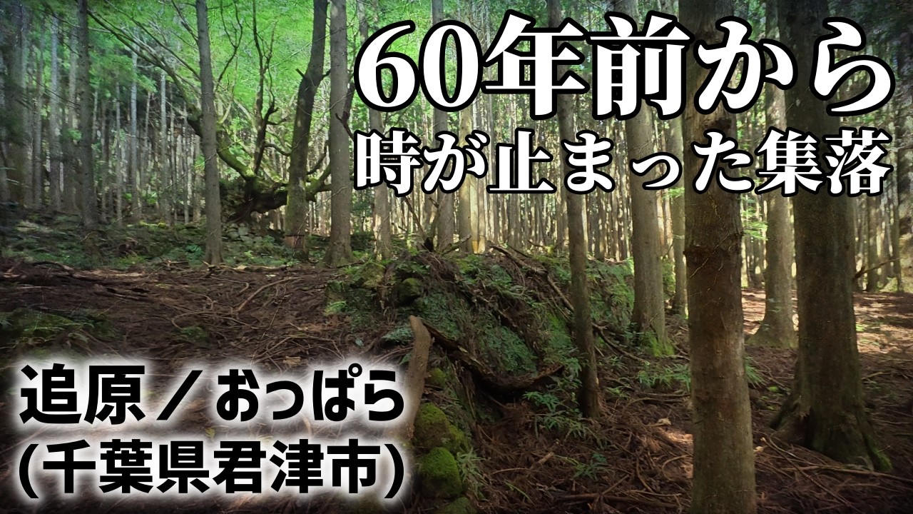 【消えた集落】落ちかけの廃吊橋が唯一の道？房総随一の廃集落・追原(おっぱら)に行ってみた結果