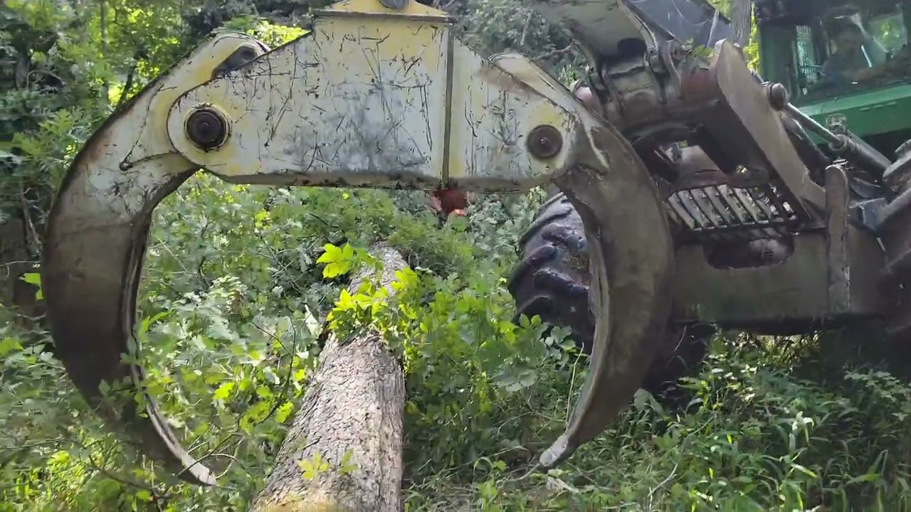 Missouri White Oak Logging