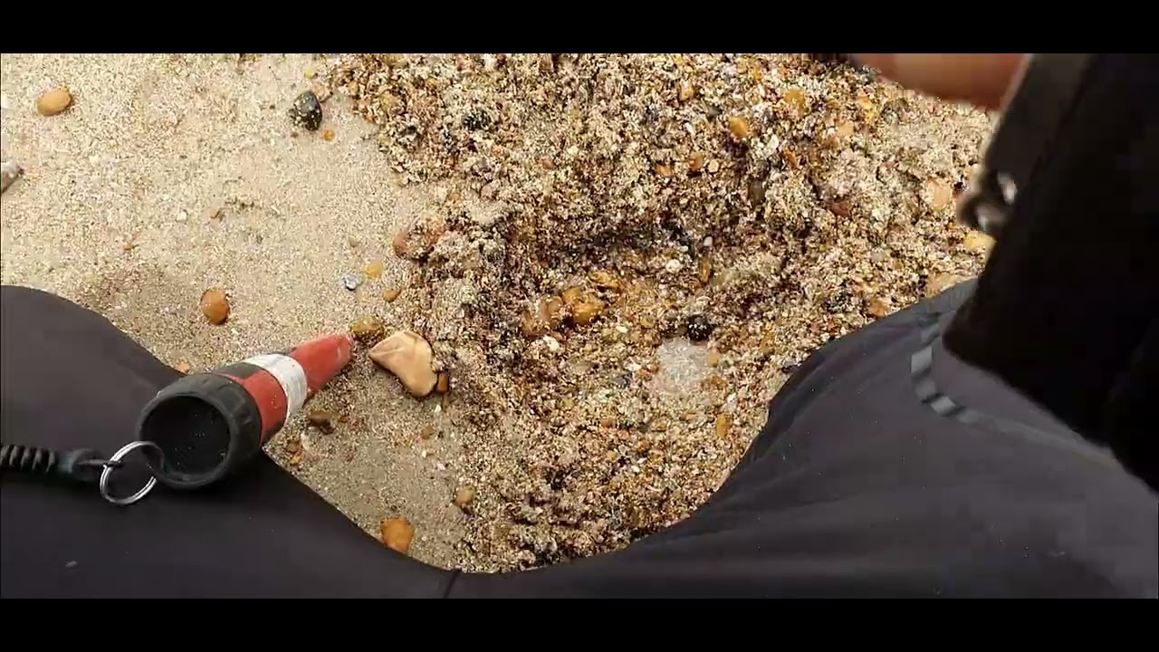 X-terra elite at the beach, gold in the hole.