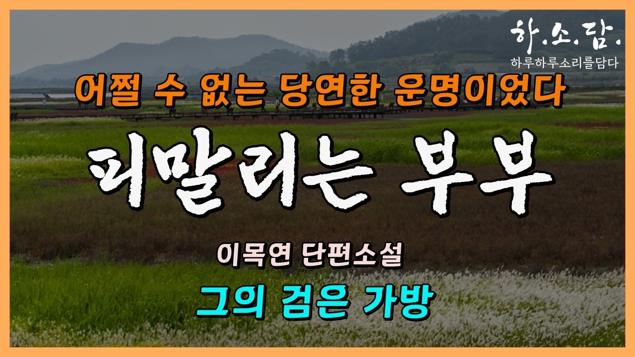그는 검은 가방만 덩그러니 남겨두고 시부모를 맡긴 채 사라진다! 왜? [그의 검은 가방 - 이목연 단편소설] #하소담오디오드라마