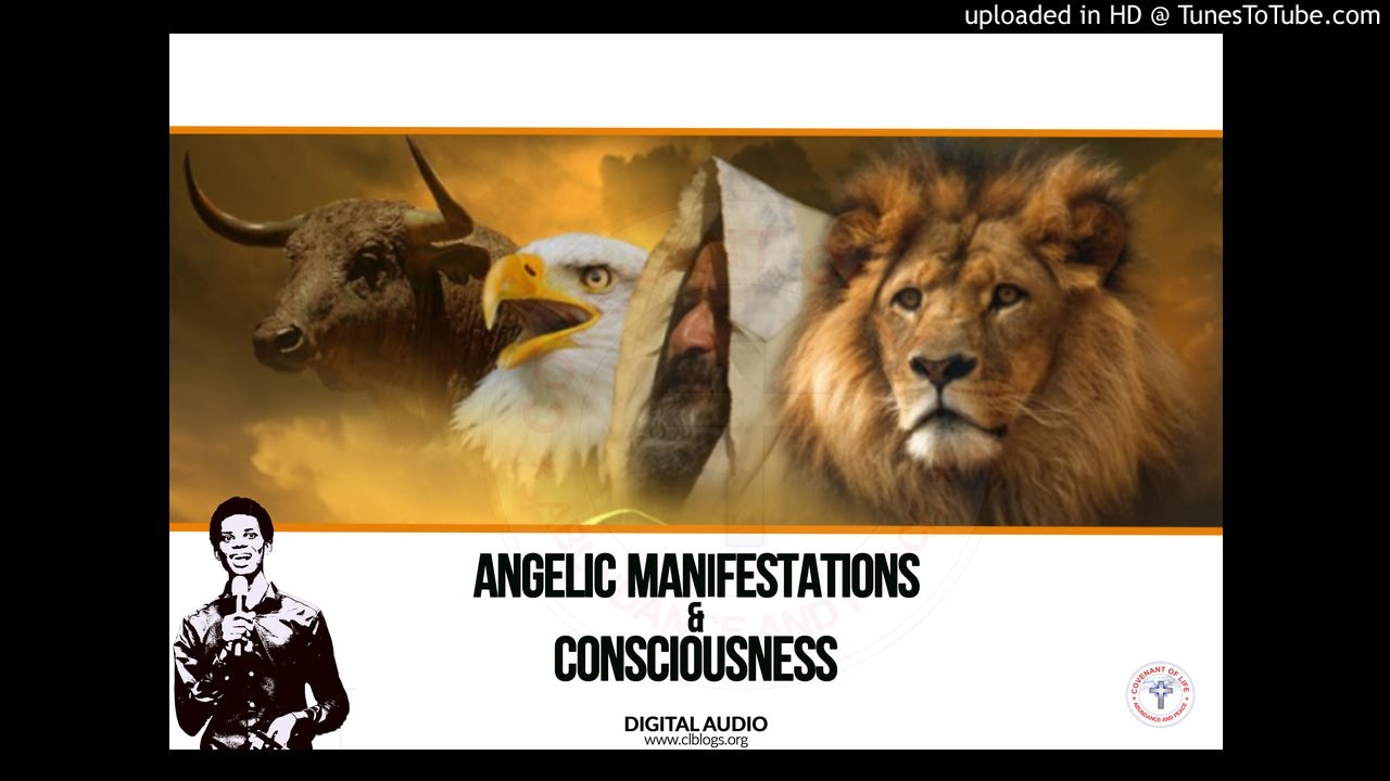Angelic Manifestations & Consciousness by Oluwatobiloba Oshunbiyi