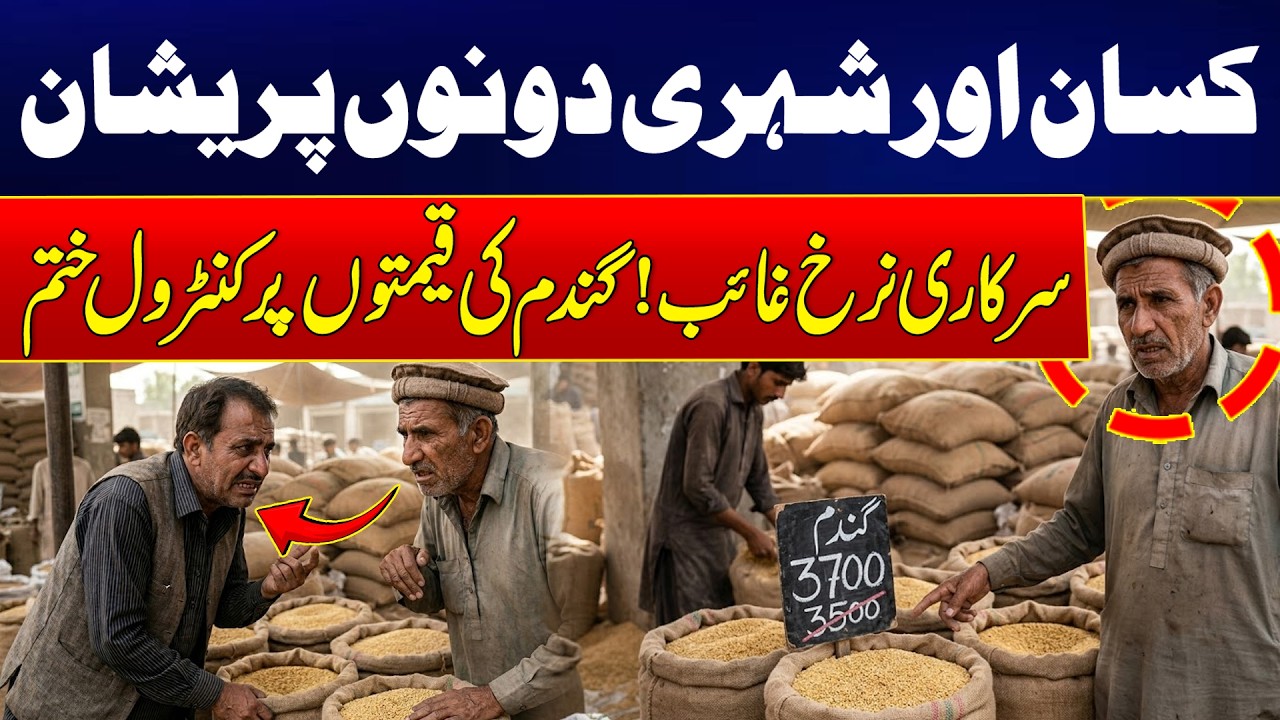 Farmers & Citizens Both Worried: Government Rates Disappear | News Update | Rohi