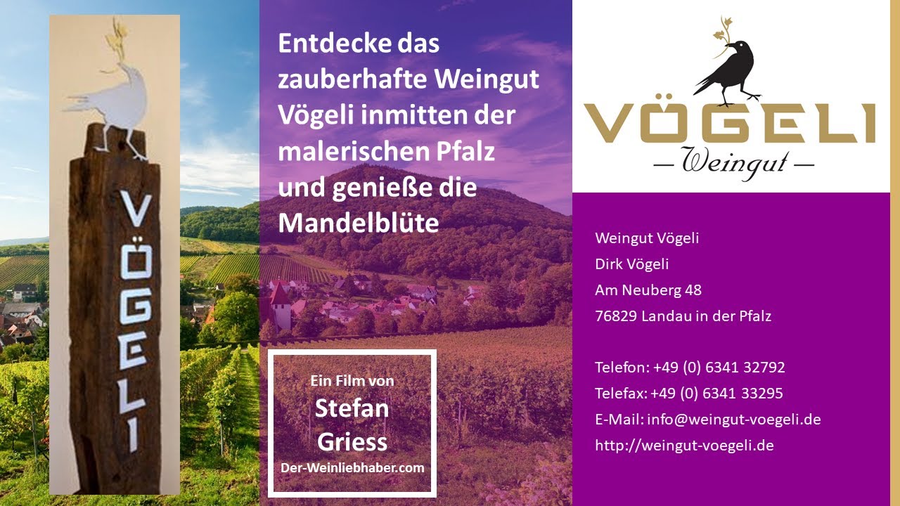 Entdecke das zauberhafte Weingut Vögeli inmitten der malerischen Pfalz und genieße die Mandelblüte