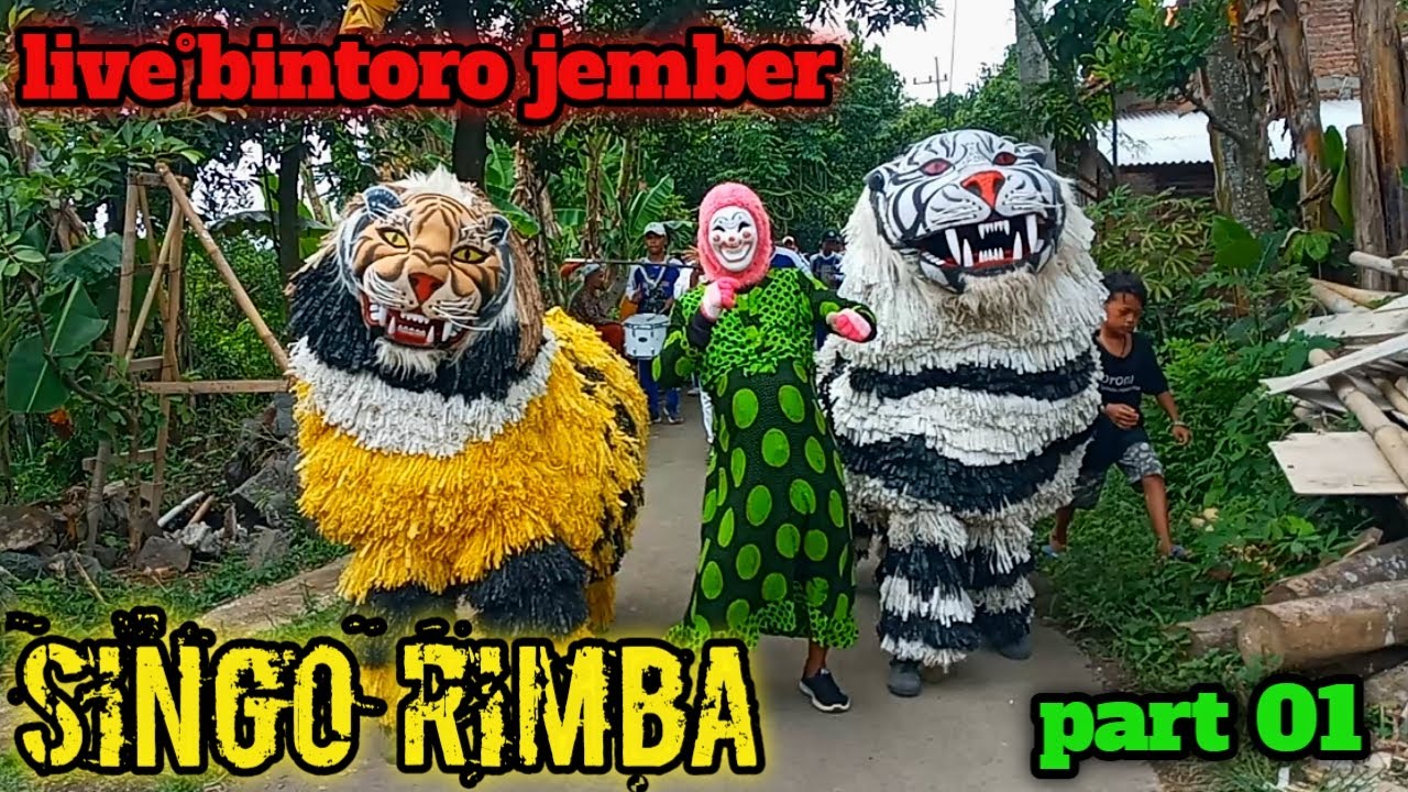kirabb drumband [GEMA NADA] bersama singo rimba di bintoro jember‼️