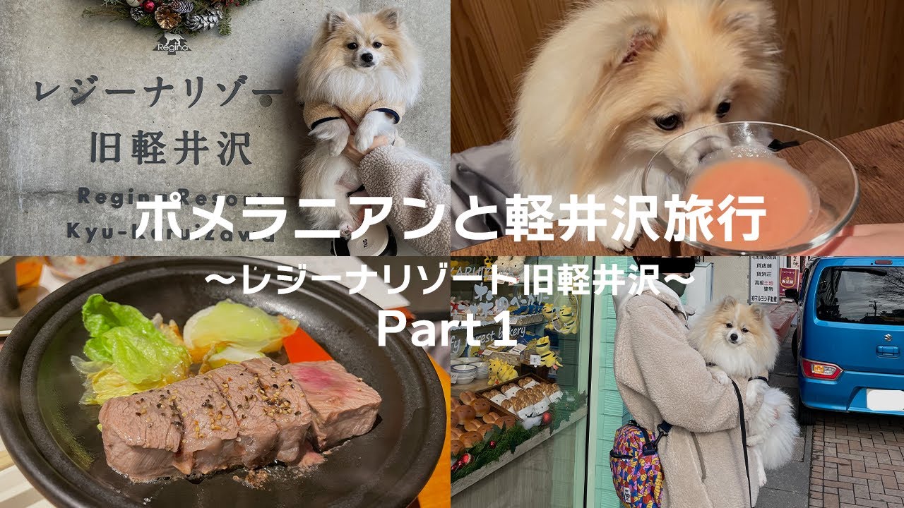【愛犬と軽井沢Vlog】ポメラニアンとの旅行が幸せ過ぎた…（レジーナリゾート旧軽井沢）【前編】#Karuizawa