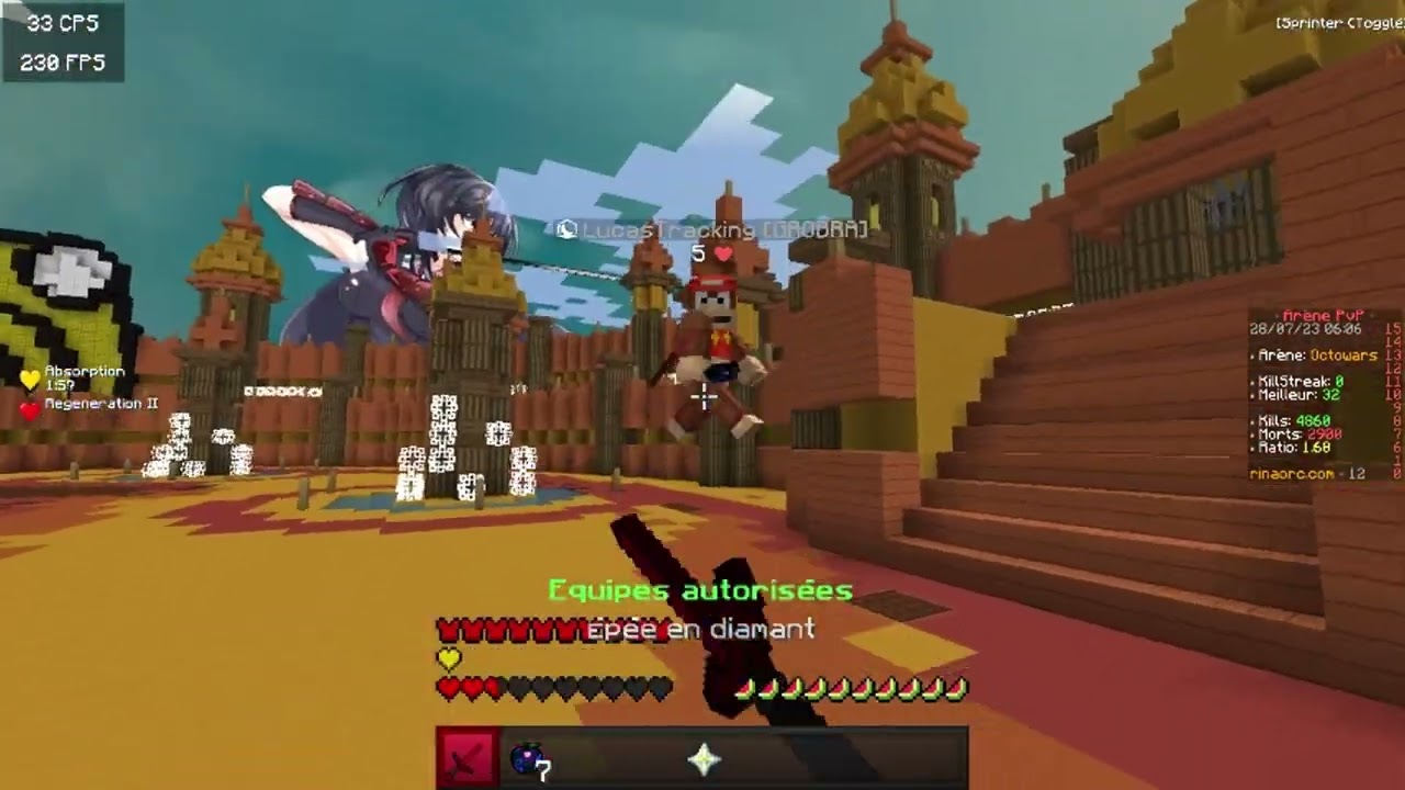 Rinaorc Sous Chicha