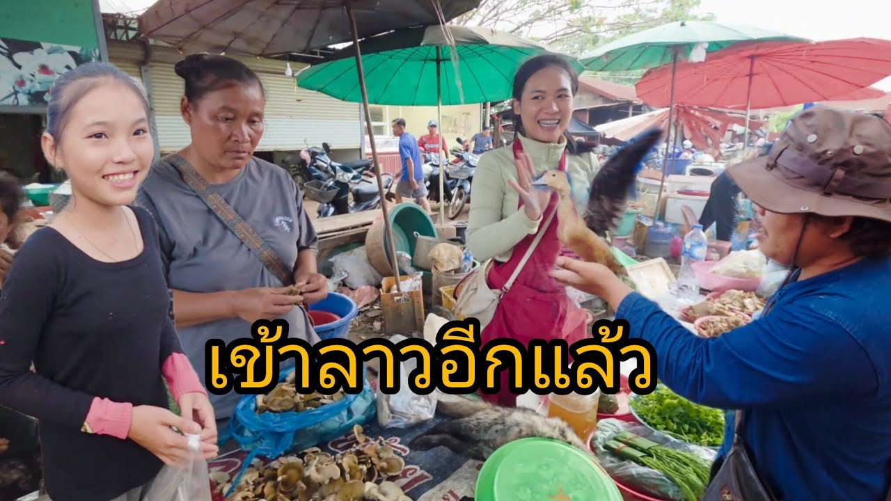 #เที่ยวลาวใต้ ได้เวลาไปลาวอีกแล้ว!ตลากหลัก14 #แขวงจำปาสัก  ถ้ากลับบ้านก็ทำสวนหลังบ้าน #ลุงแม็ค 