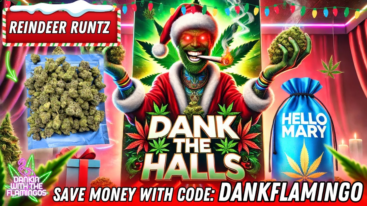 Danking the Halls with Shop Hello Mary! Dankin with the Flamingos Review!!