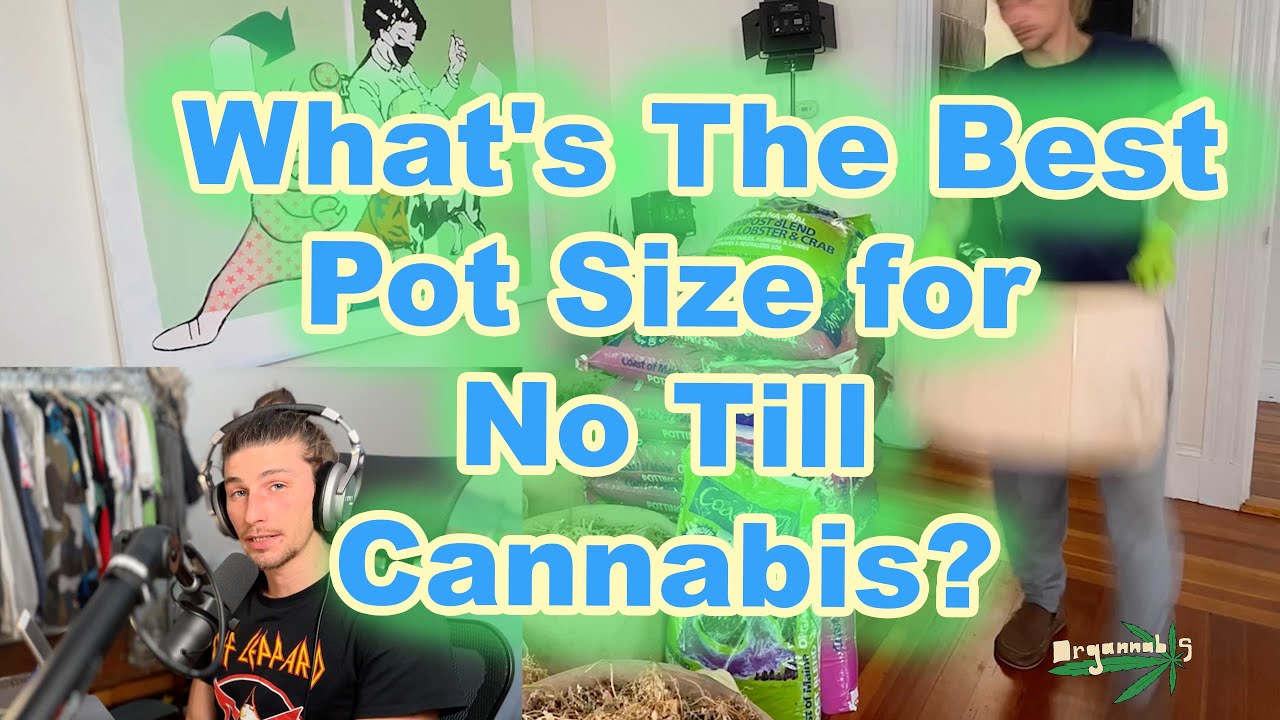 What's The Best Pot Size for No Till Cannabis? Is BIGGER Better!? Why I Upgraded 15 gal to 25 gallon