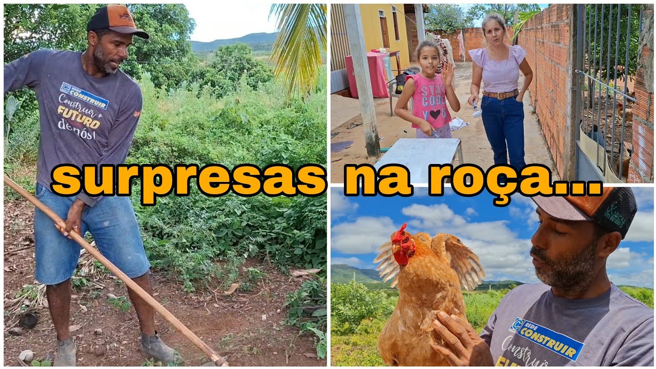 Vlog especial/surpresa nos vídeos aqui na roça 