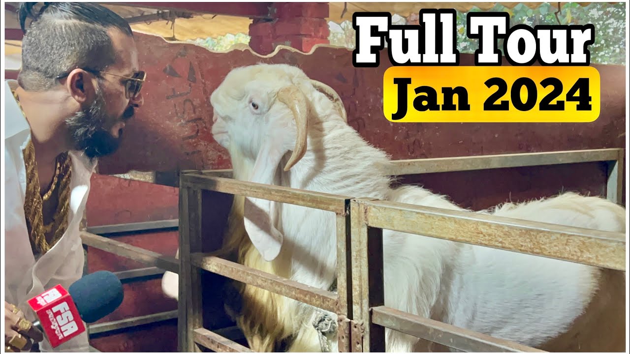 Full Tour MD Goat Farm January 2024