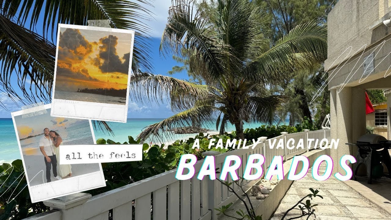A Week in Barbados! | Island Tour, Rum Tasting, Catamaran Cruise | LILY SMITH VLOGS