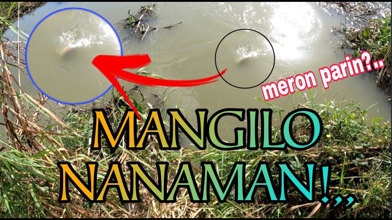 MANGILO AGAD ANG BUMUNGAD SA AKIN /Airgun Fishing /Fishgunerong Madiskarte