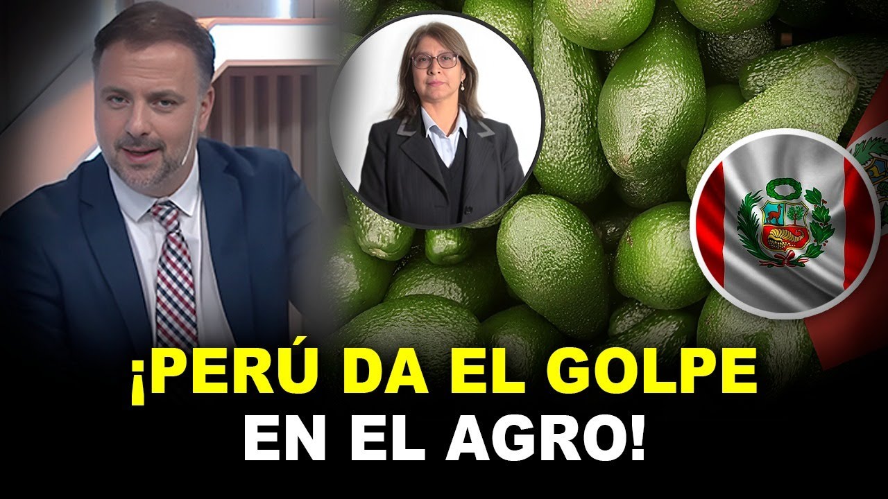 😱 PRENSA ARGENTINA ASOMBRADA! 😨 Crecimiento Explosivo de la Palta Peruana en Europa y SUPERA A CHILE