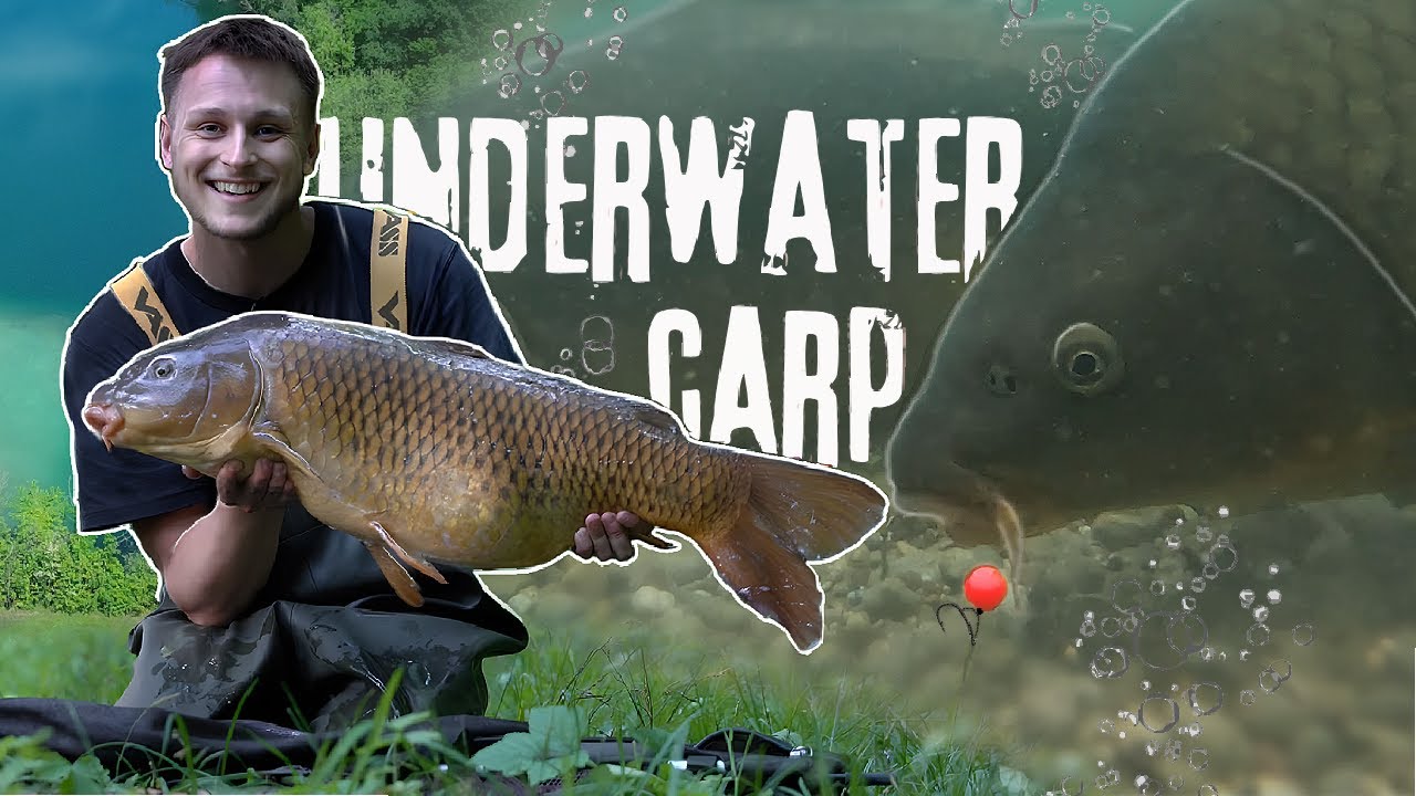 PÊCHE à la CARPE dans les OBSTACLES - UNDERWATER CARPFISHING