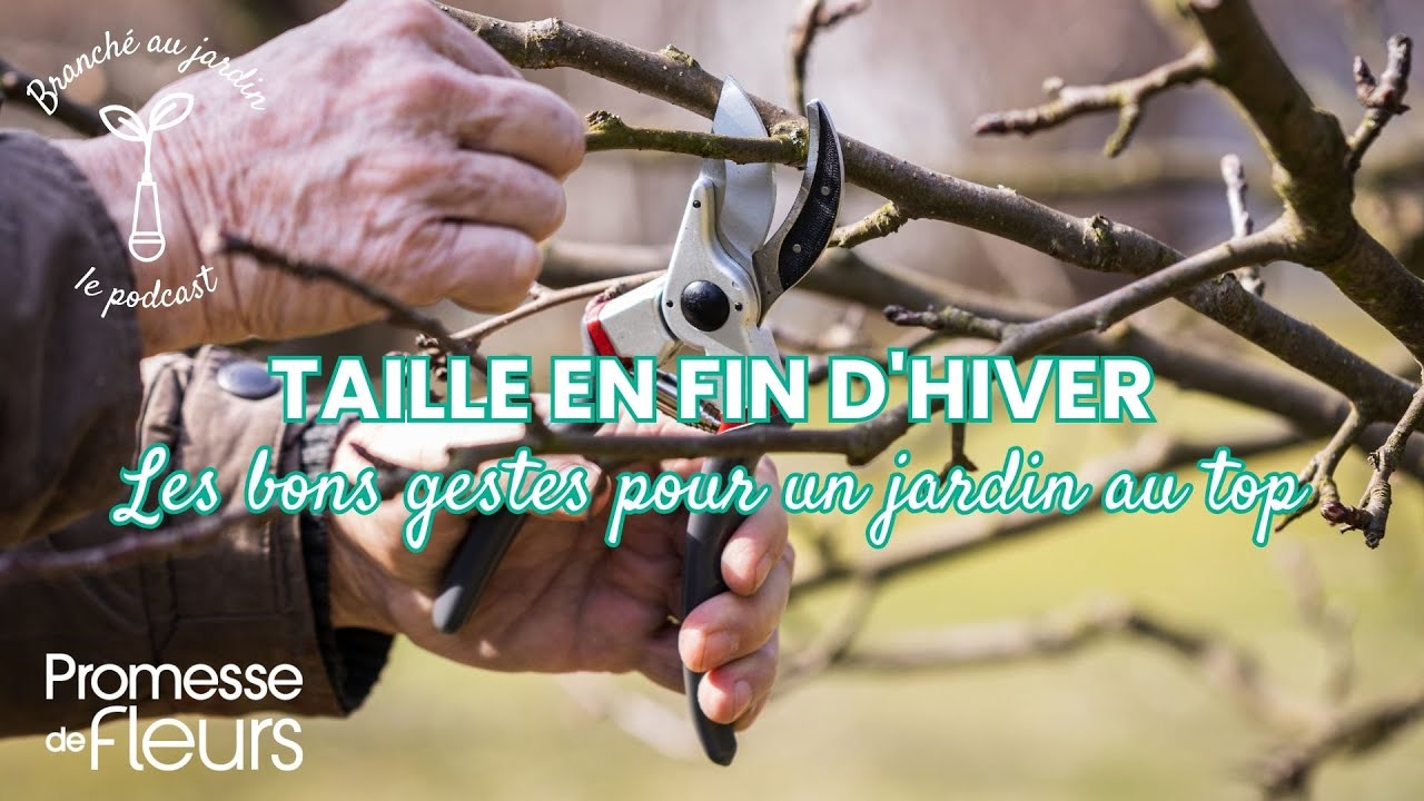 Taille en fin d'hiver : les bons gestes pour un jardin au top