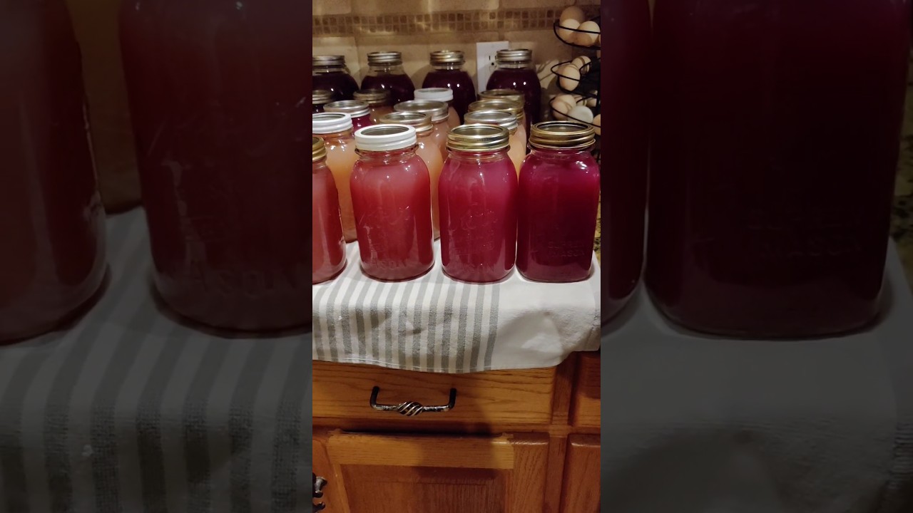 Steam juicing grape juice #grapejuice #canning