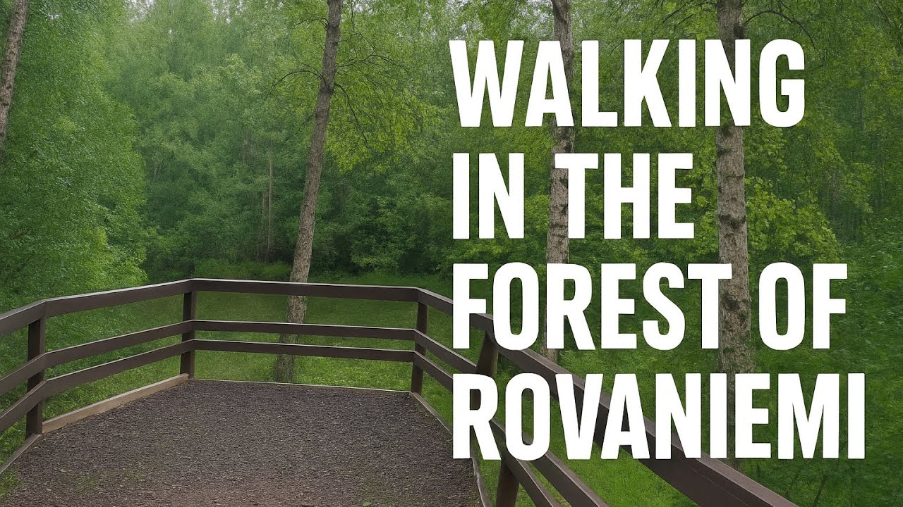 🌲 Walking in the Forest of Rovaniemi | After Rain Sounds & City Ambience 🚶‍♂️✨