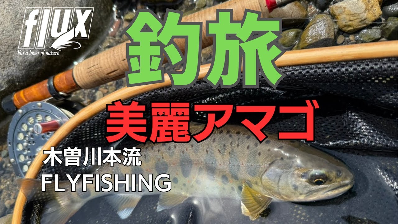 釣旅『木曽川本流の美麗アマゴ釣り』/フライフィッシング/FLUX/フルックス/FLYFISHING/日本の釣り