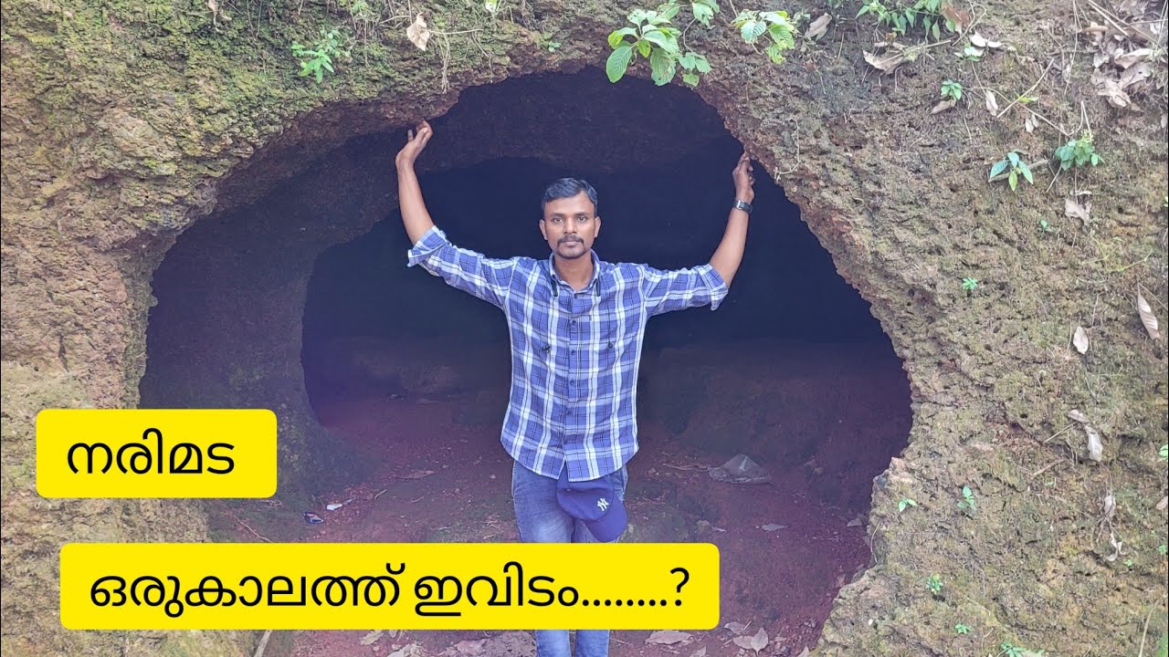 ചീനിപാറ നരിമട (തൃത്താല മുടവന്നൂർ)