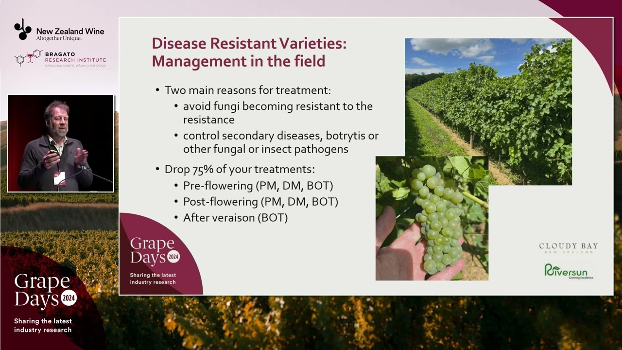 Grape Days 2024 | European plant breeding: disease resistant varieties | Jim White