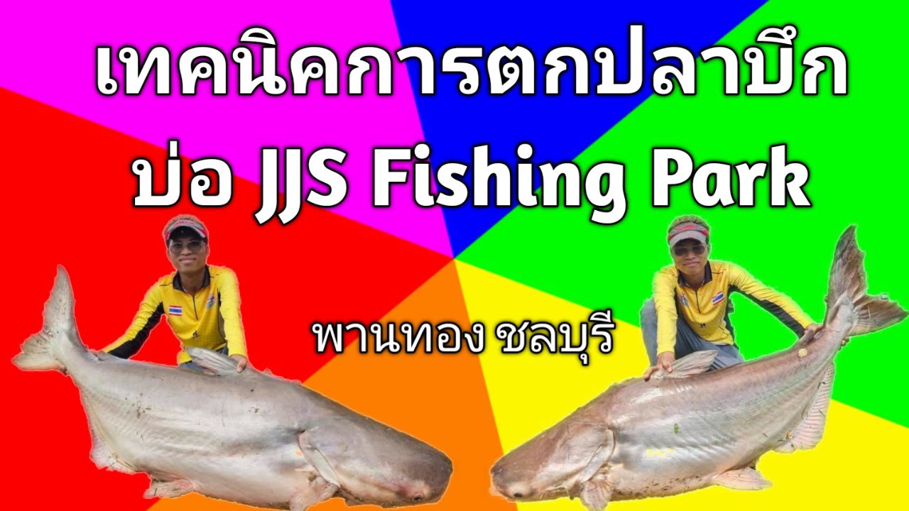 เทคนิคการตกปลาบึกบ่อ JJS Fishing Park พานทอง ชลบุรี  ( Techniques for Fishing  giant catfish )