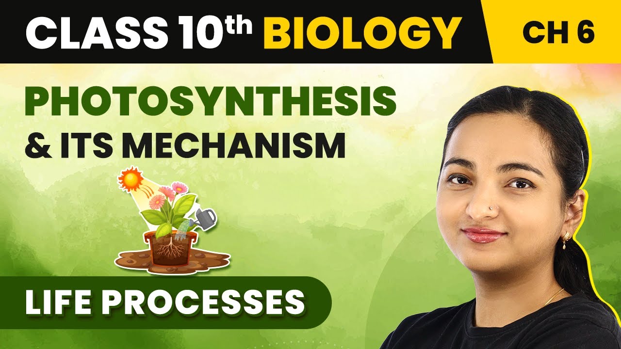 Class 10 Biology Chapter 6 | Photosynthesis and Its Mechanism - Life Processes