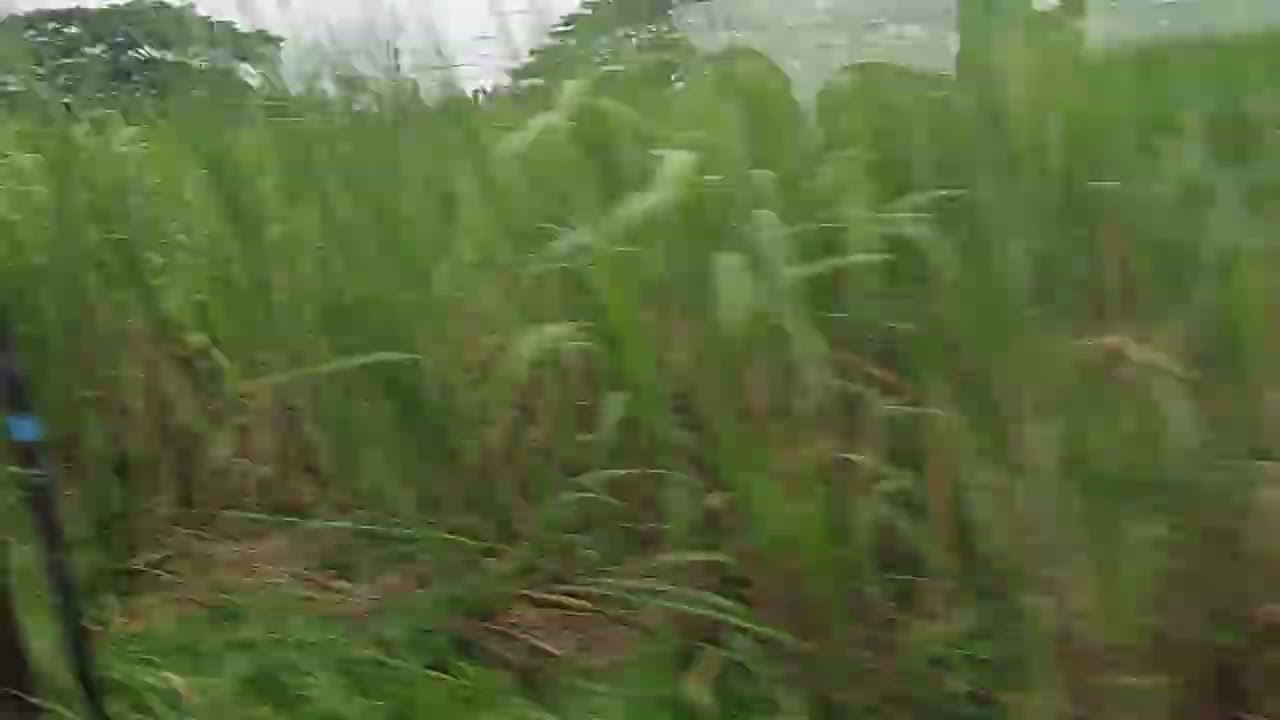 Sembahan Sudra ... R21