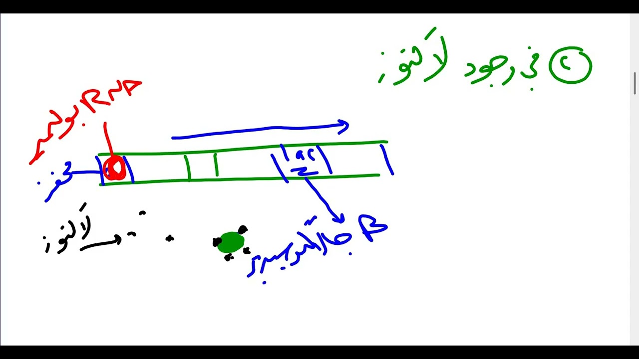 مراجعة الوحدة الثالثة الهندسة الجينية