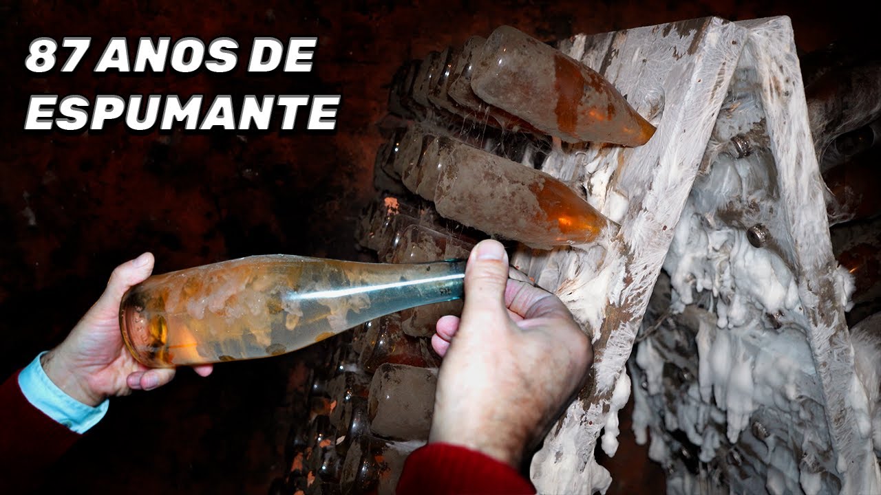 900 000 Vinhos por ANO - Caves São Domingos
