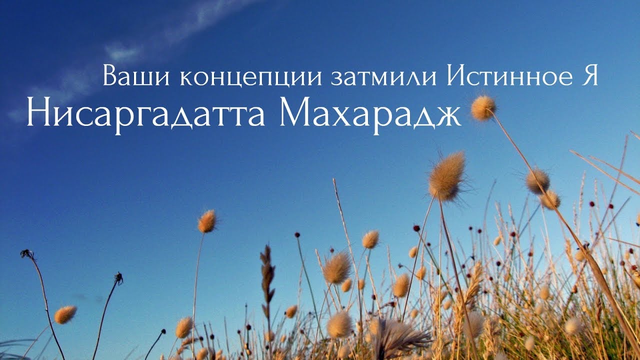 Ваши концепции затмили Истинное Я. Нисаргадатта Махарадж — Ничто есть Всё