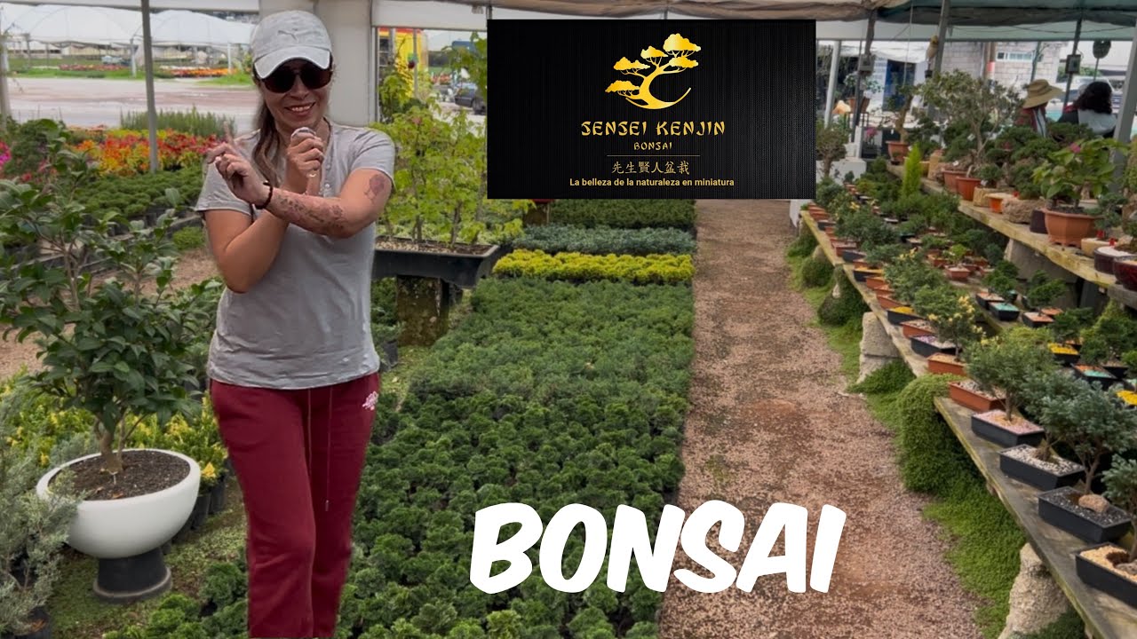 Bonsai de todos tamaños en San Lorenzo Tlacotepec “Sensei Kenji Bonsai” 