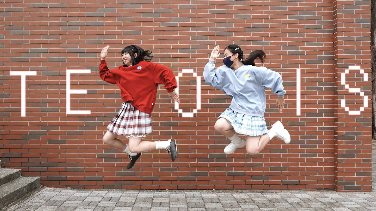 【ＤＤ&times;阿逼】テトリス【踊ってみた】