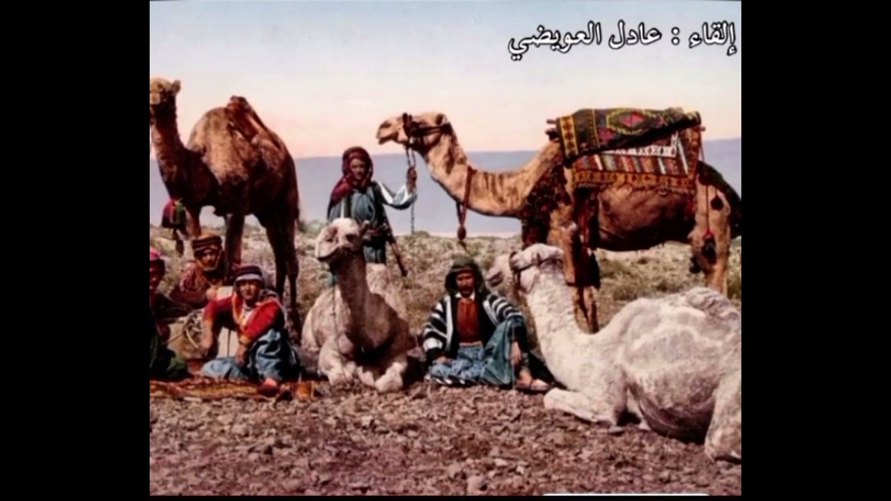 قصةمن الصحراء طفل شردة الناقه وهو فوقها لمن صارشاب رجع وتزوج امه يوم جا يدخل عليها